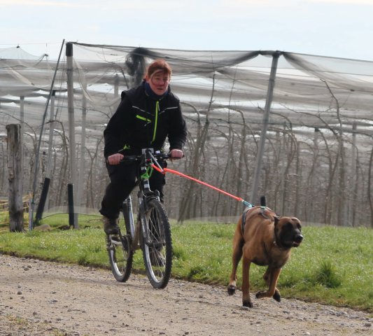 training 18-03 2018-04-02-10h21m29